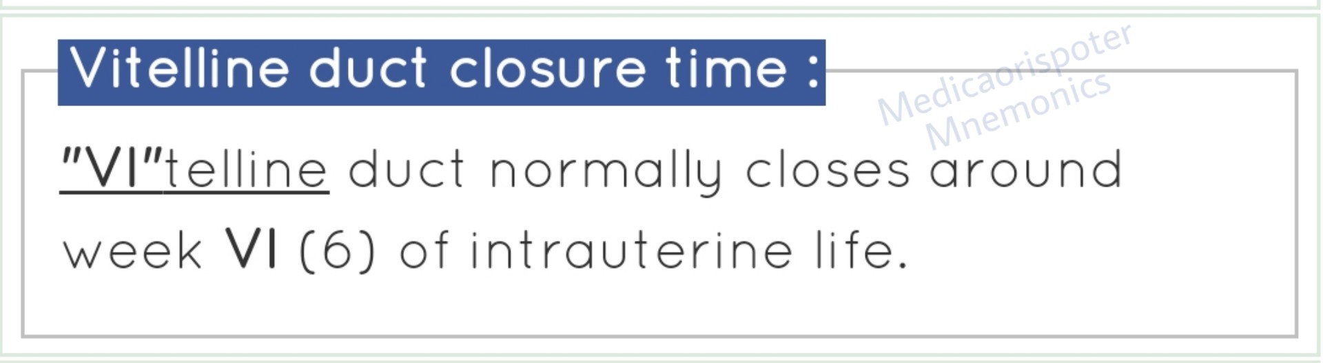 preview of Vitelline Duct Closure Time.jpg